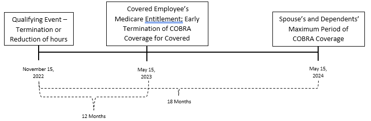 Medicare extension 2