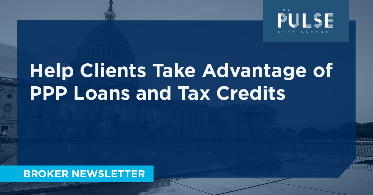 ppp loans and tax credits